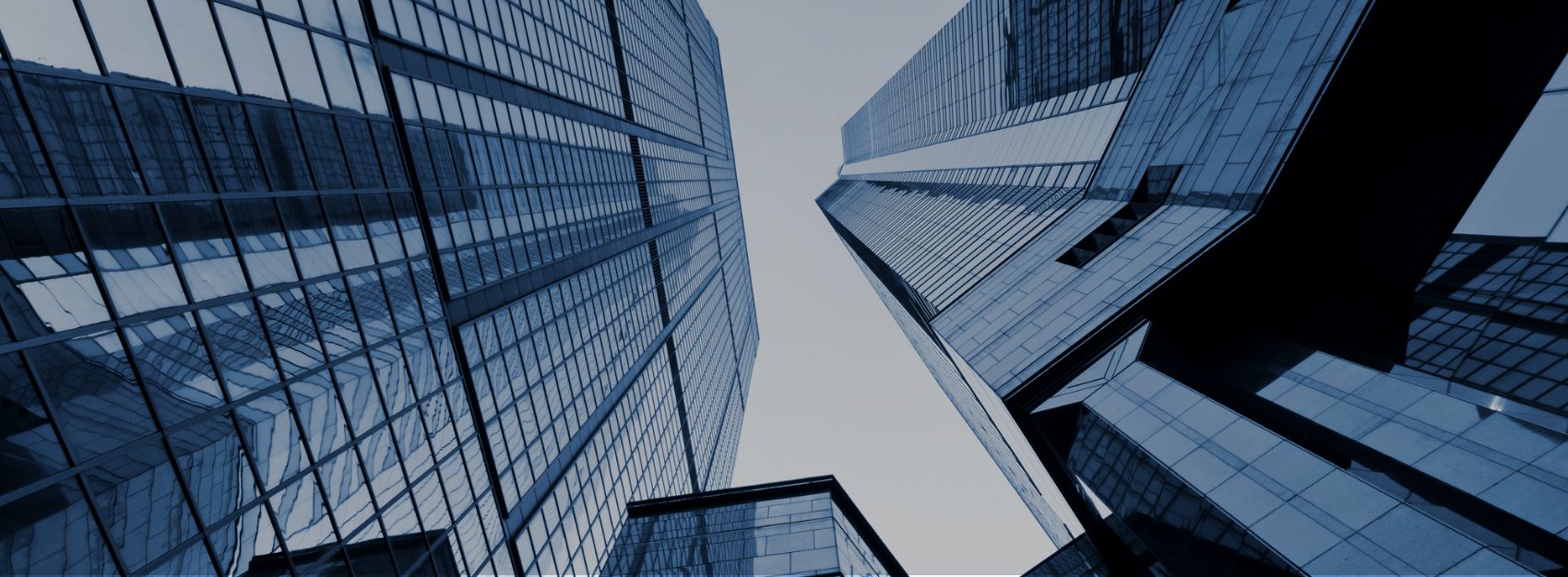 Business Development 事業開発支援